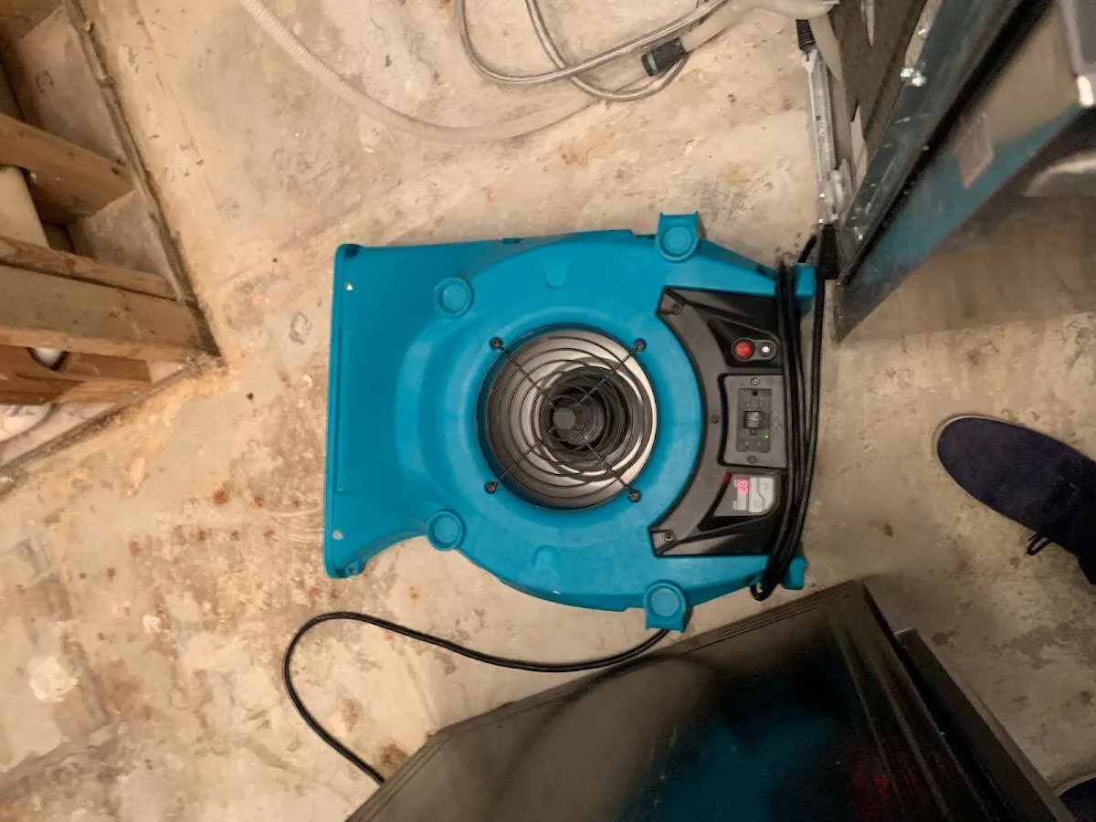 Air mover drying equipment for Mold Remediation & Removal in Cortlandville